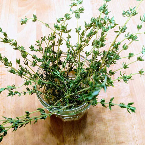 چای آویشن